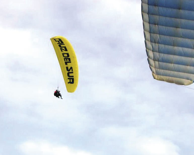 Kunturfly